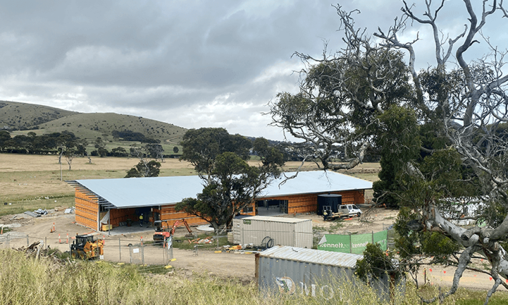 Article image for From sheep grazing to innovative learning